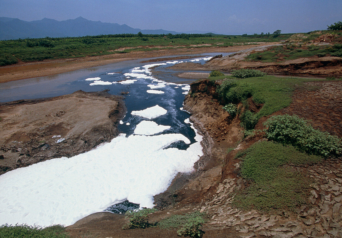 River polluted by effluent from a paper mill