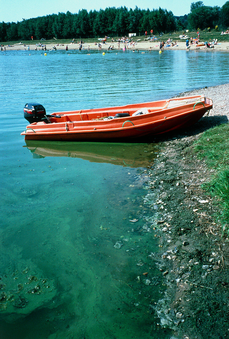 Recreational lake discoloured by blue-green algae