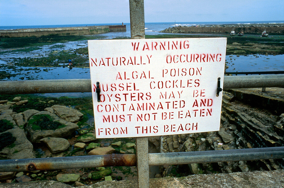 Sign warning of algal poison
