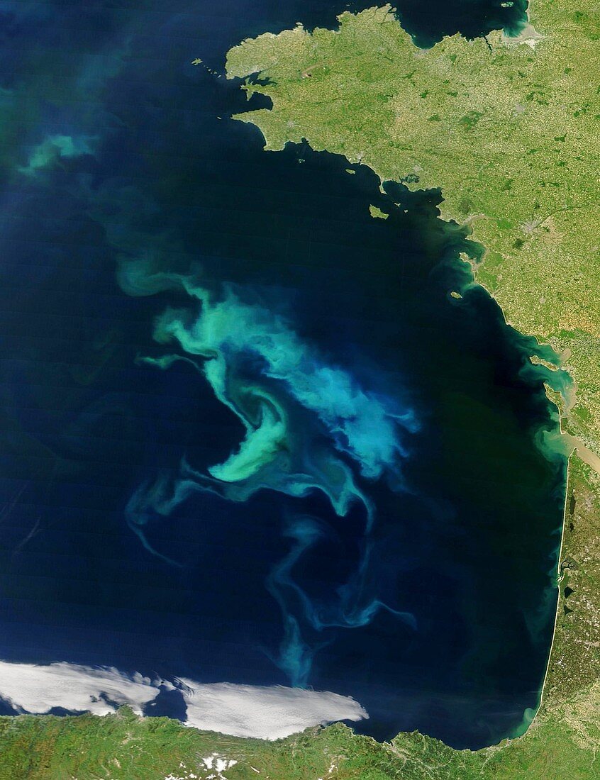 Phytoplankton bloom in the Bay of Biscay