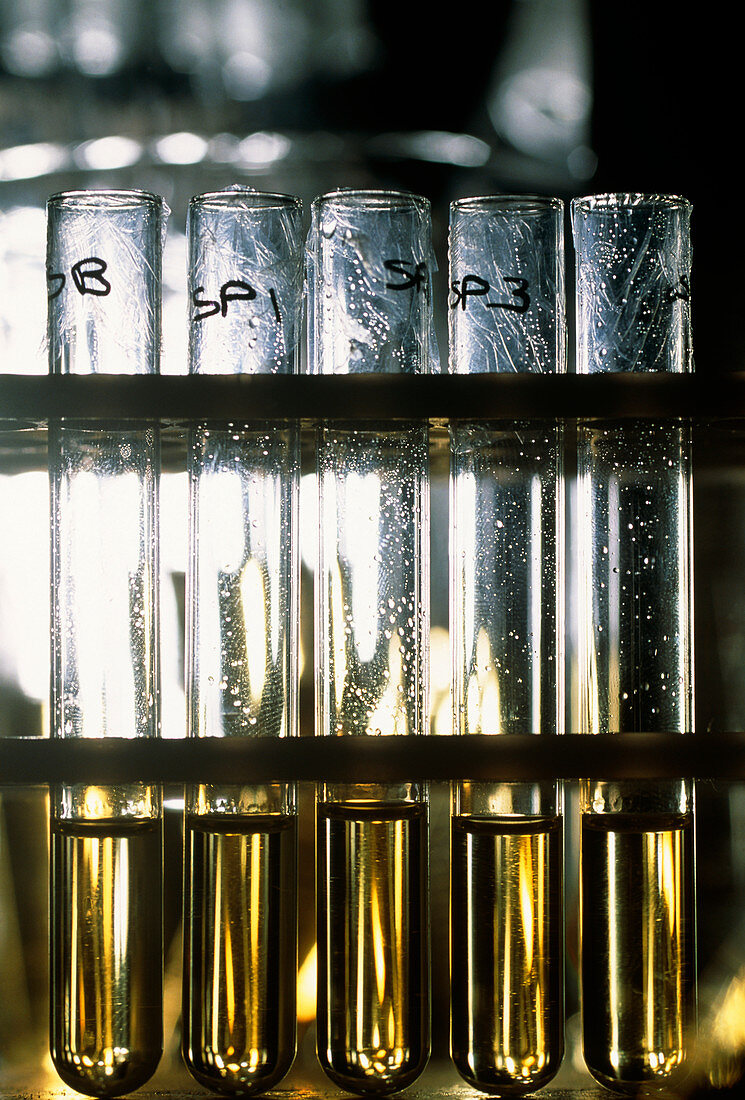 Test tubes of fluid analysed for pesticide residue