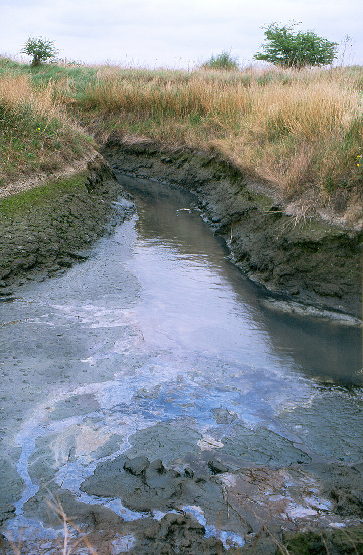 Polluted stream