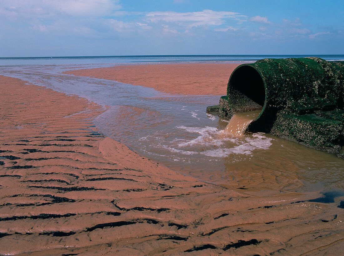Sewage pipe on a beach