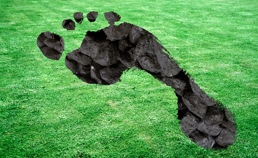 Carbon footprint,conceptual image