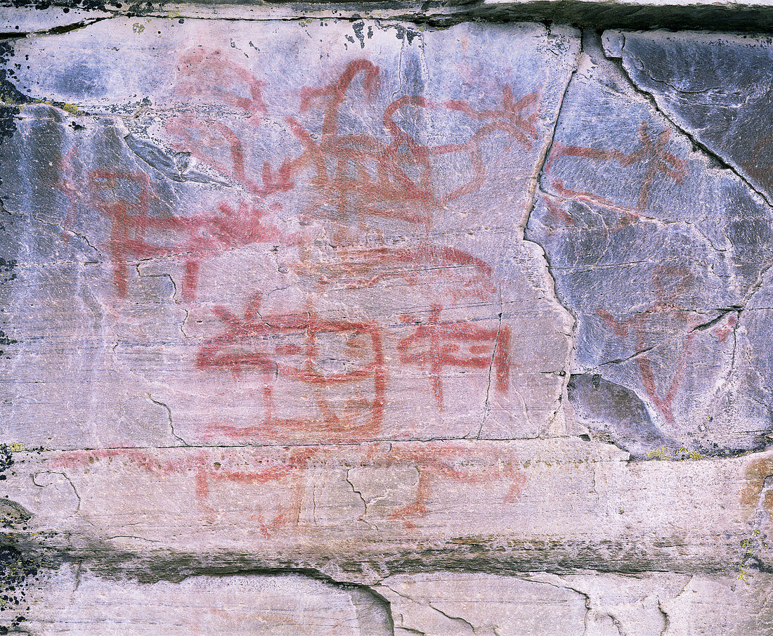 4000 year old hunting painting,Sweden