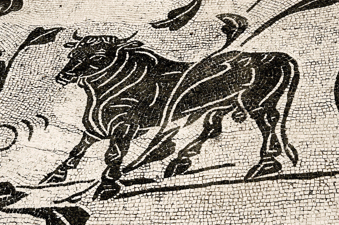 Roman mosaic,Ostia Antica