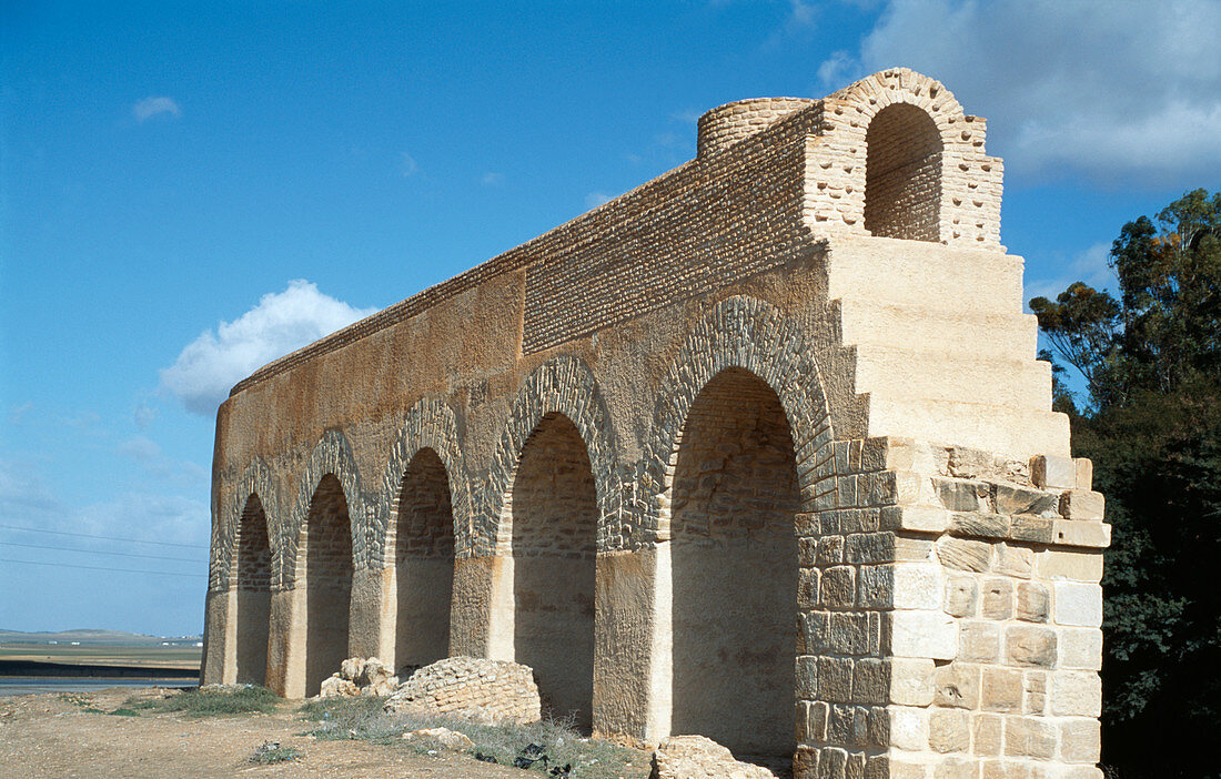 Roman aqueduct,Oudna,Tunisia