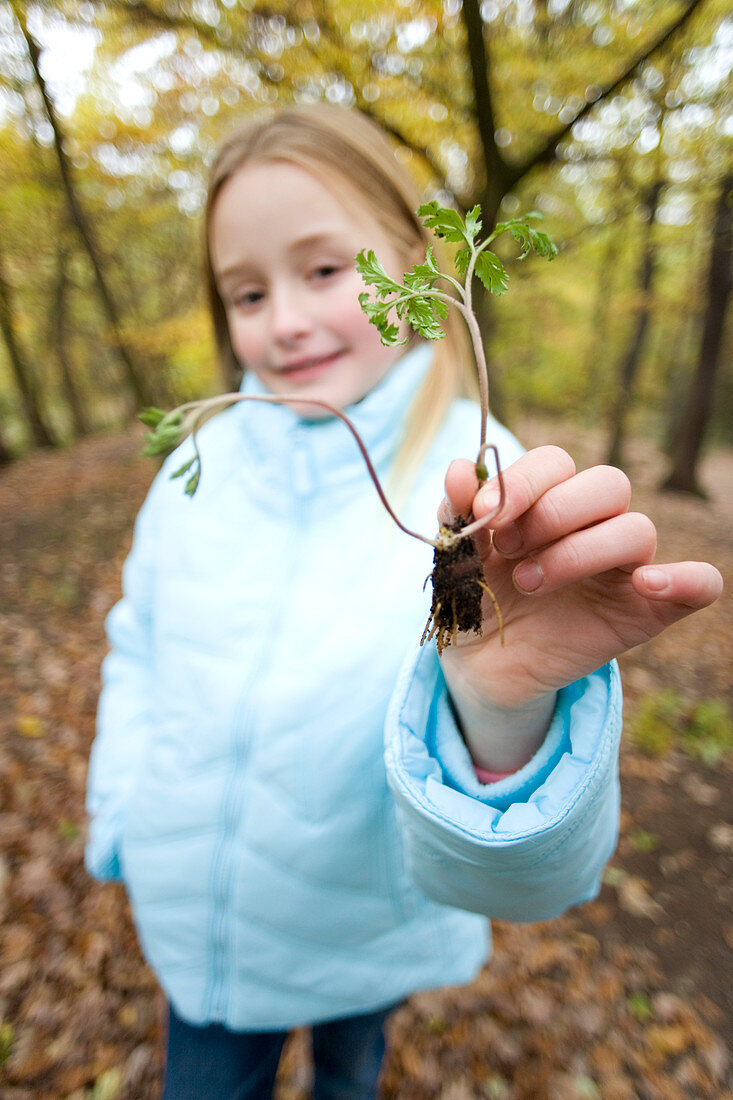 Girl holding a plant seedling