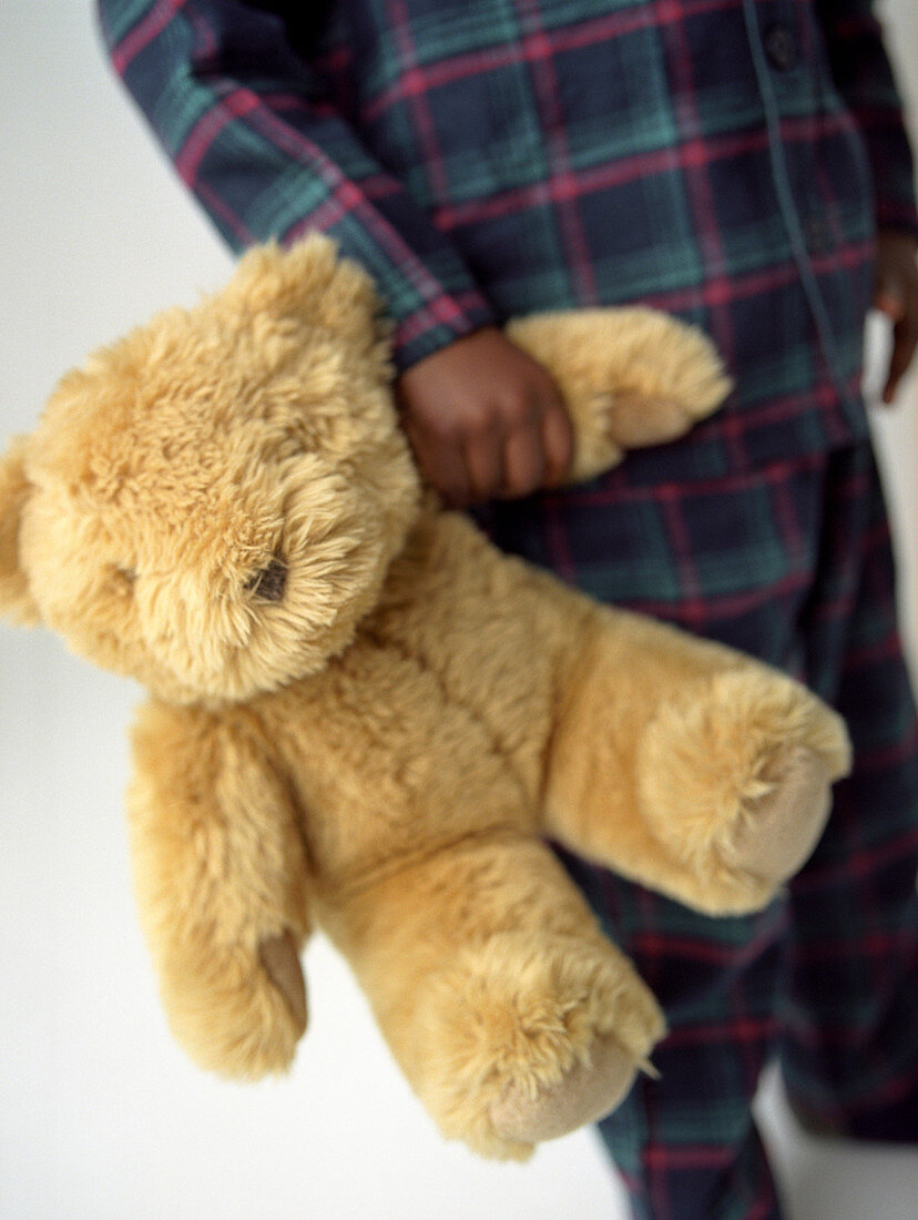 Boy's teddy bear