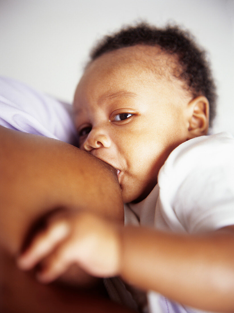 Baby boy breastfeeding