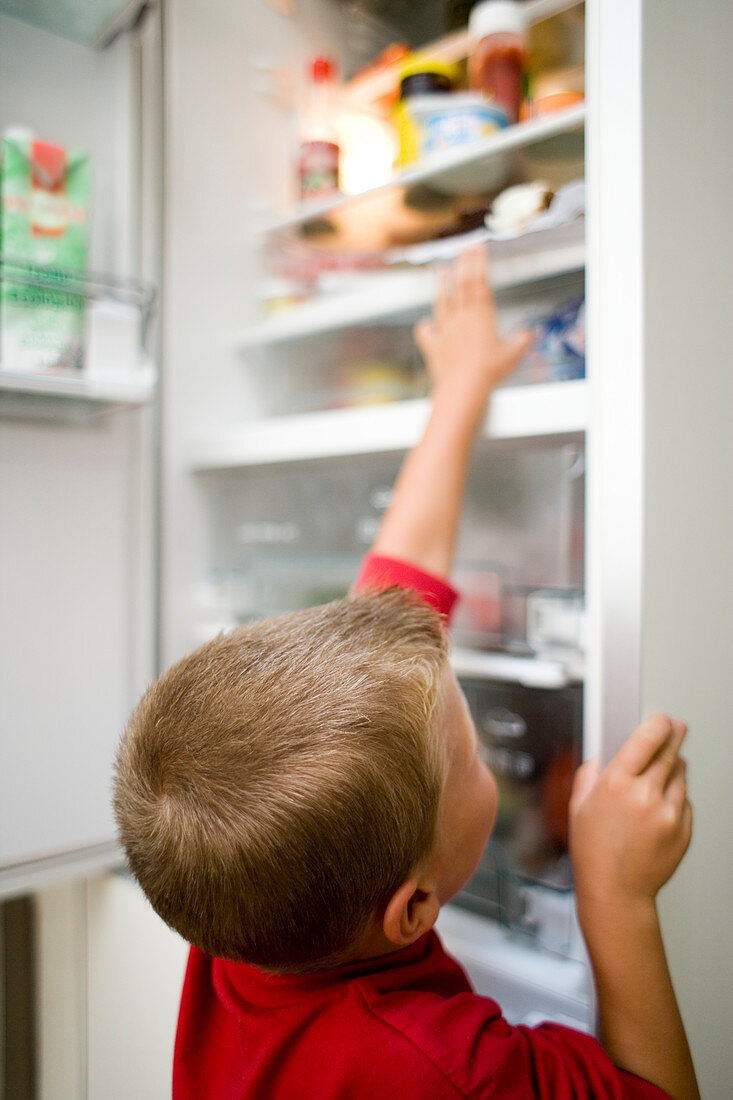 Boy looking in fridge