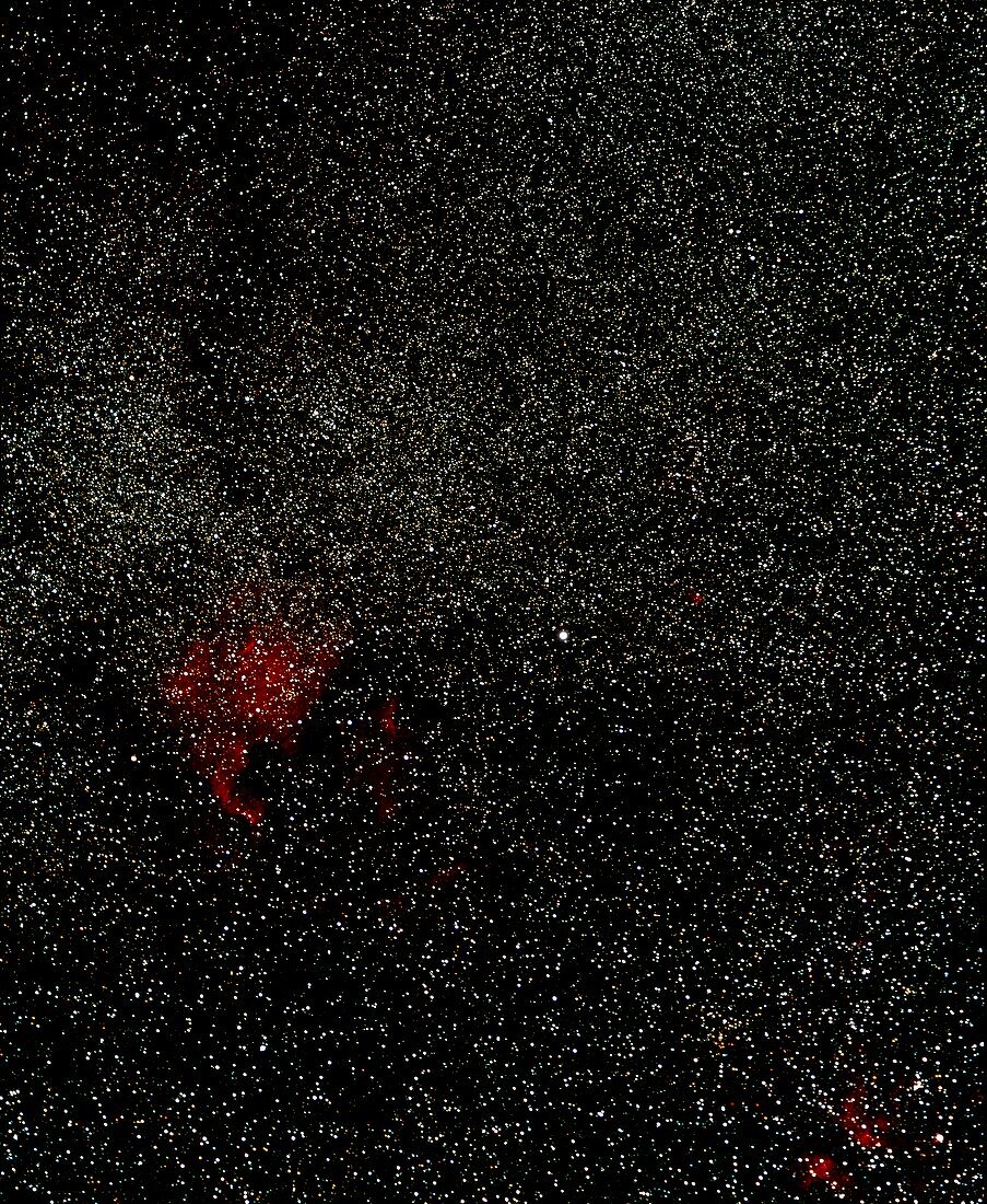 Optical image of starfields in northern Cygnus