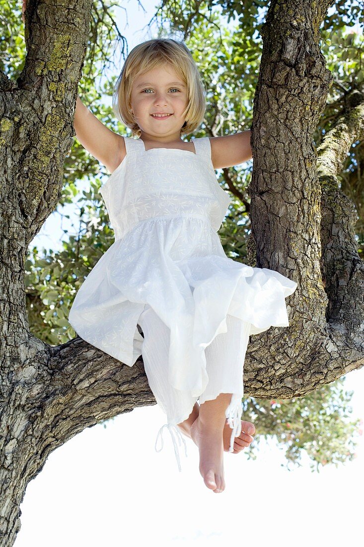 Girl sitting in a tree