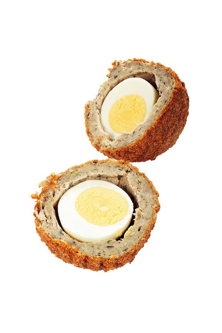 Scotch egg