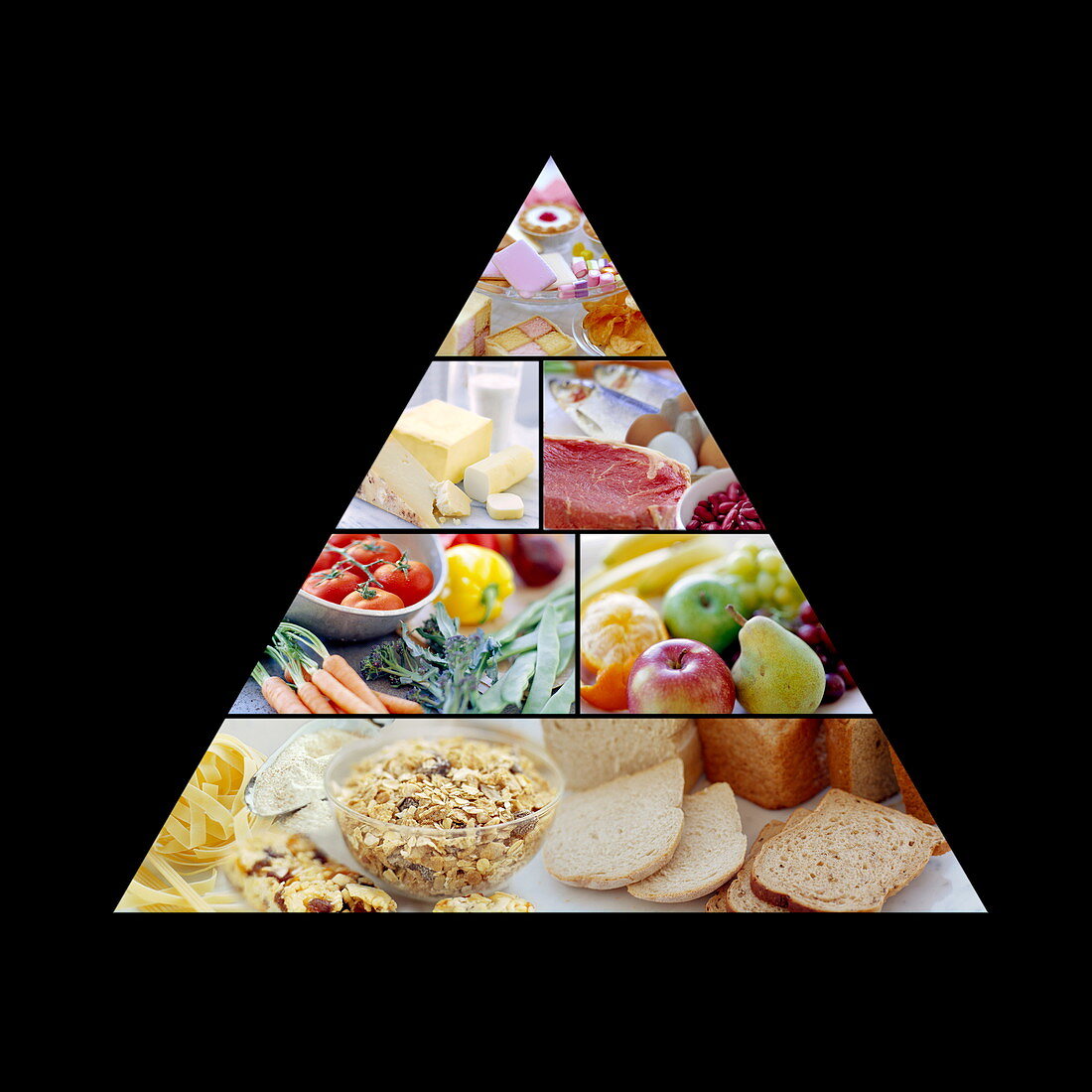 Food pyramid