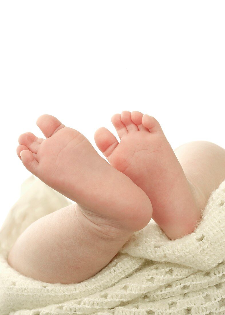 Baby's feet