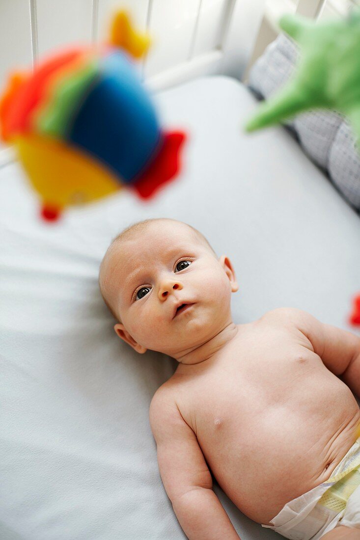 Baby boy in his cot