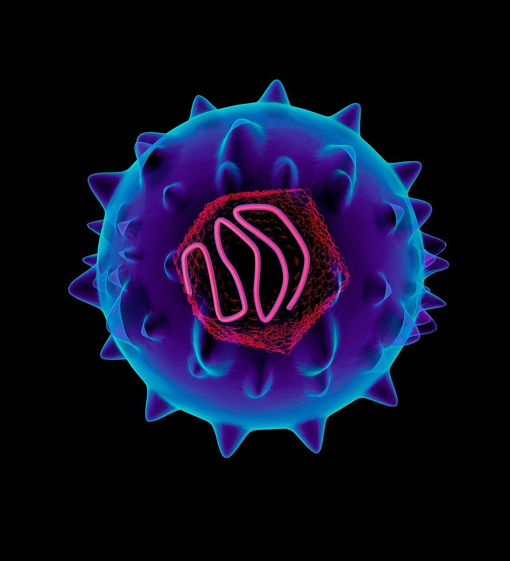 Hepatitis C virus,artwork
