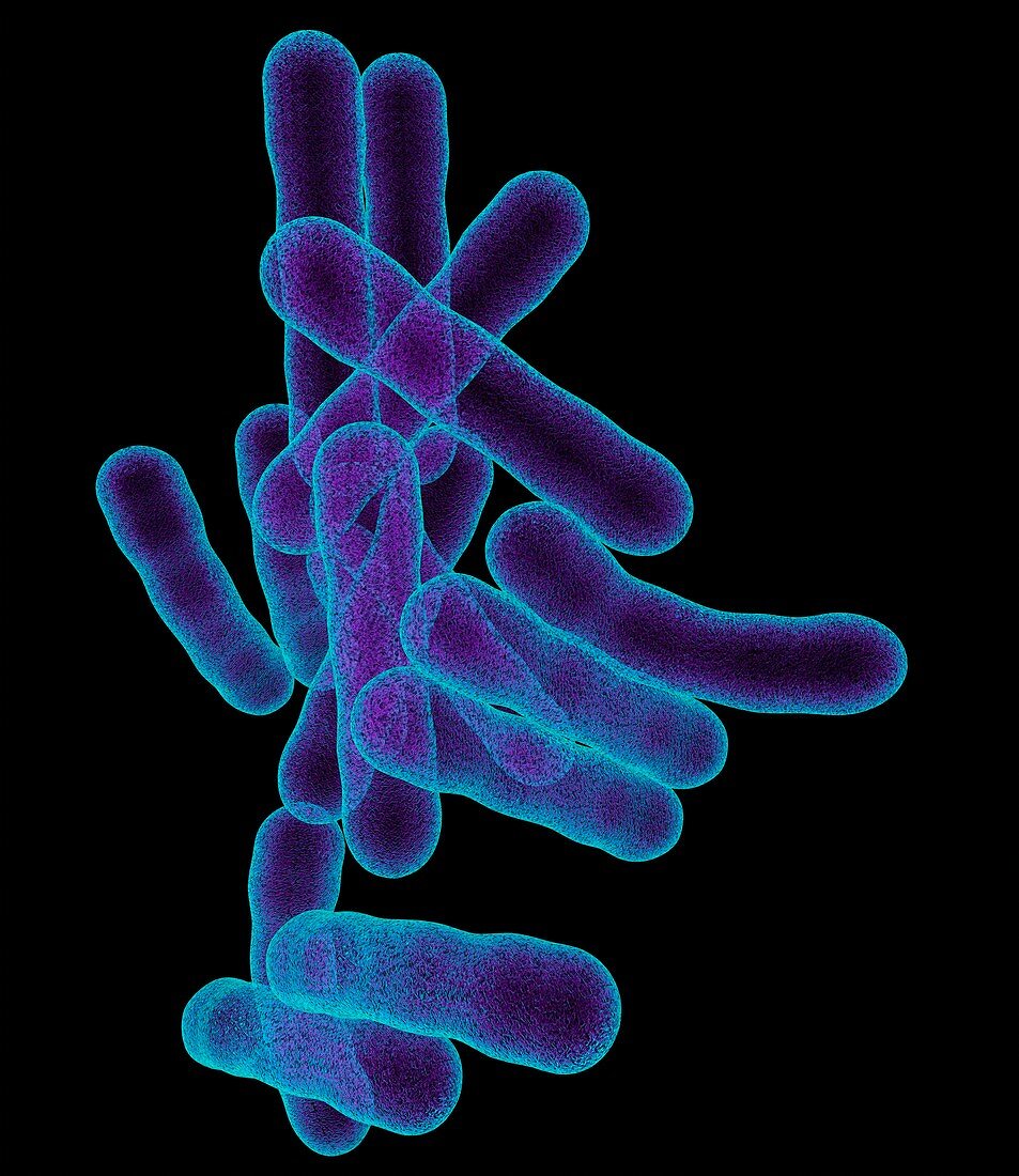 Tuberculosis bacteria,artwork