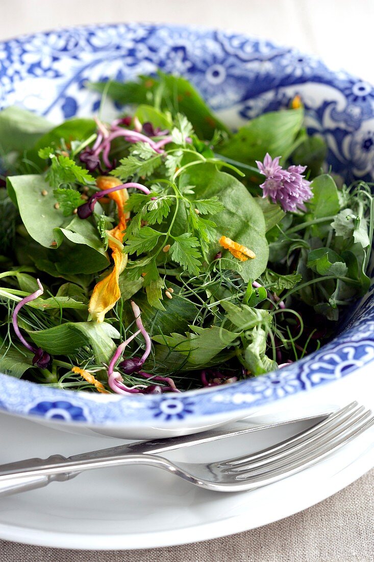 Herb salad