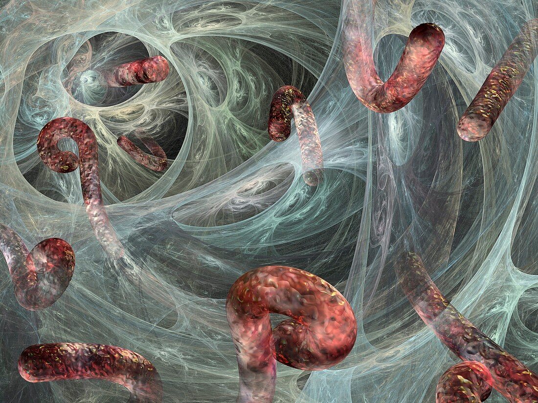 Ebola viruses,artwork