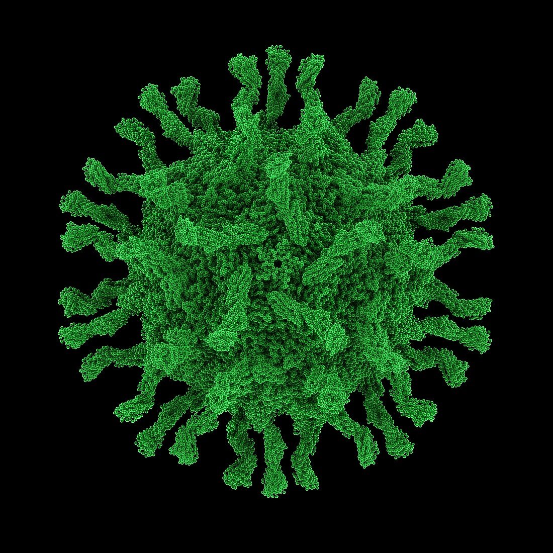 Poliovirus particle