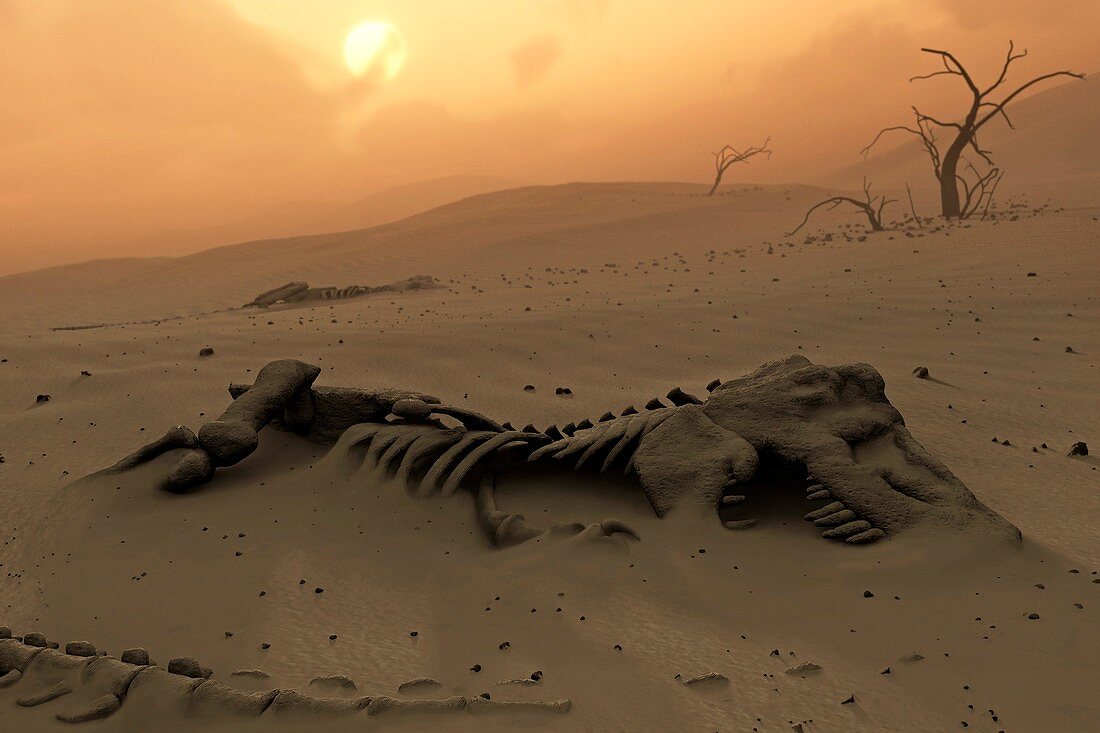 Dinosaur skeletons in the desert