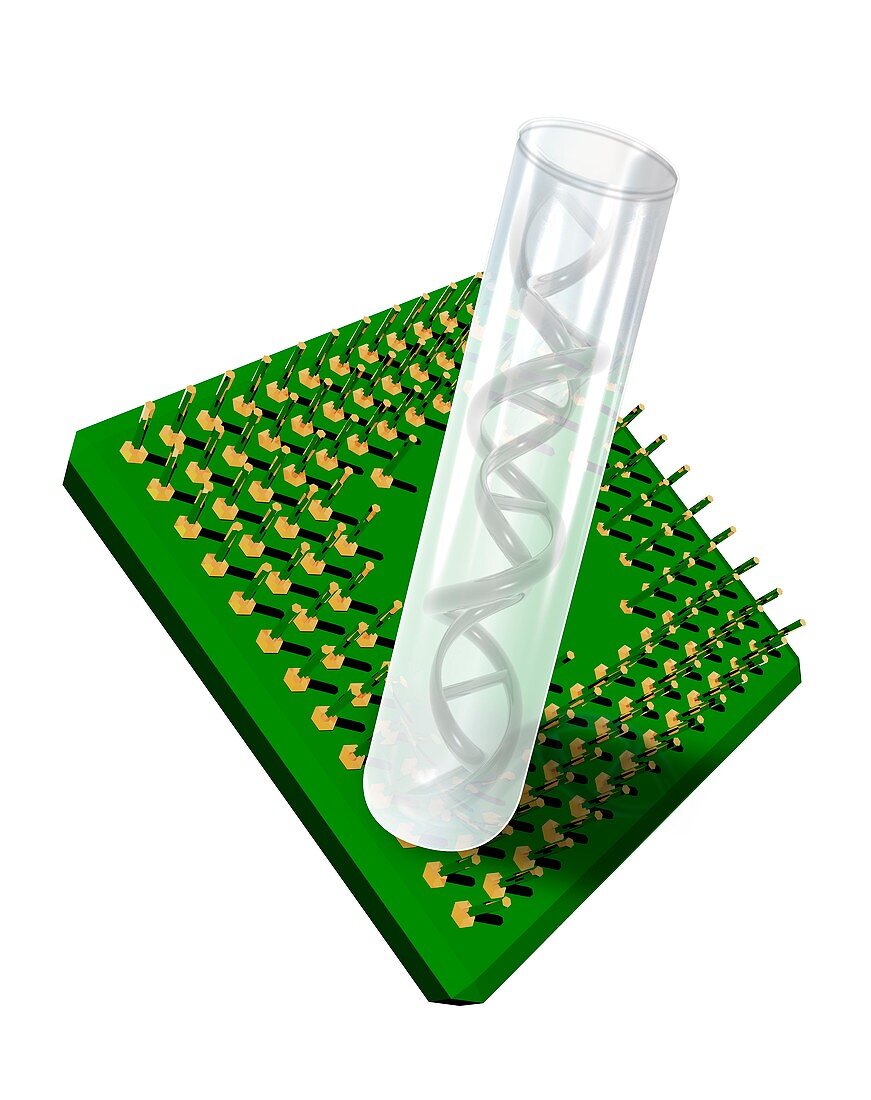 Lab-on-a-chip,conceptual artwork