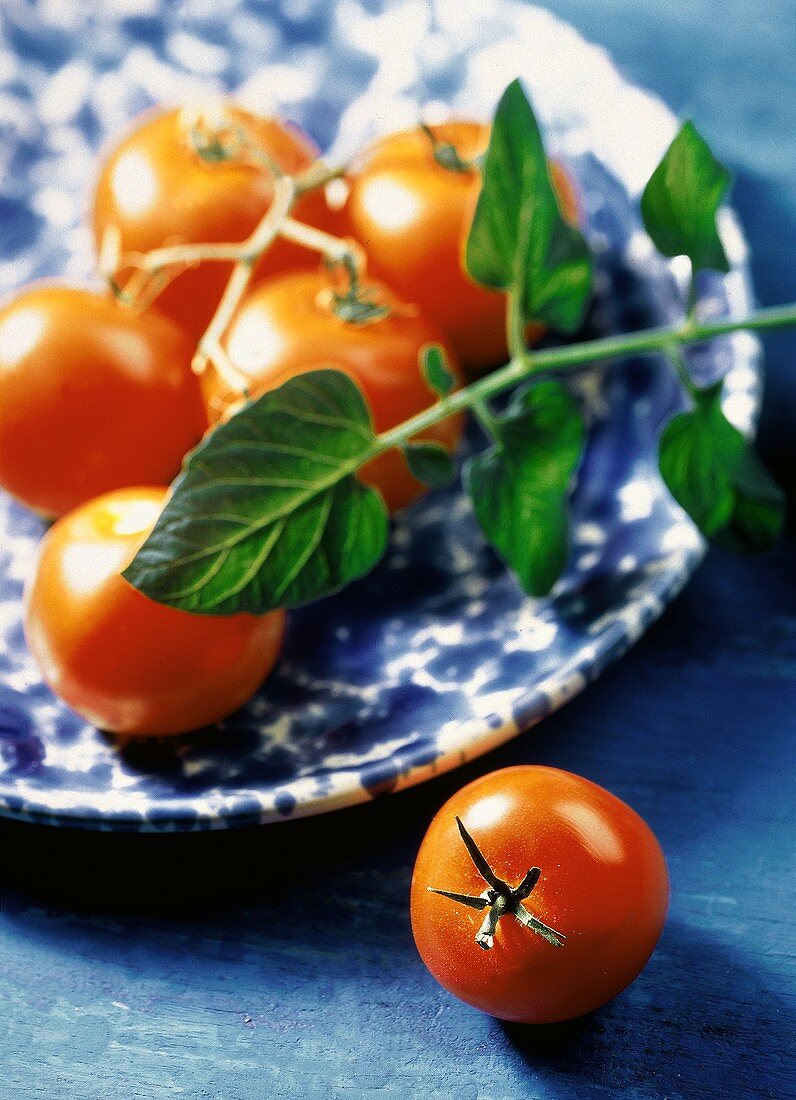 Strauchtomaten in einer blau-weissen Tonschale