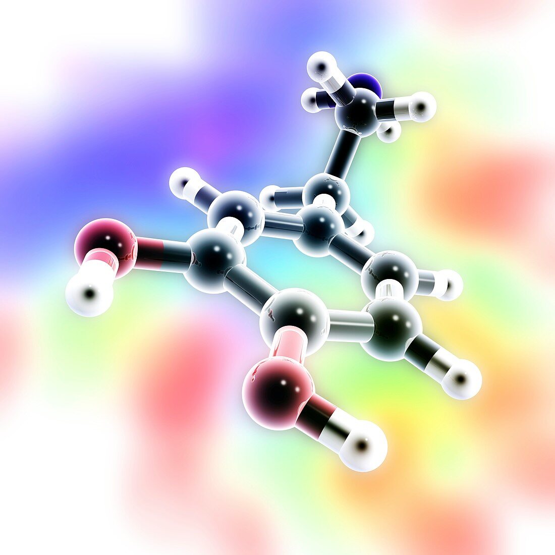 Dopamine,3D molecular model