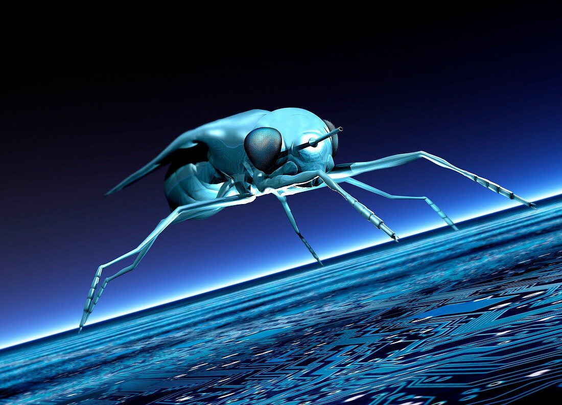 Robotic fly,artwork