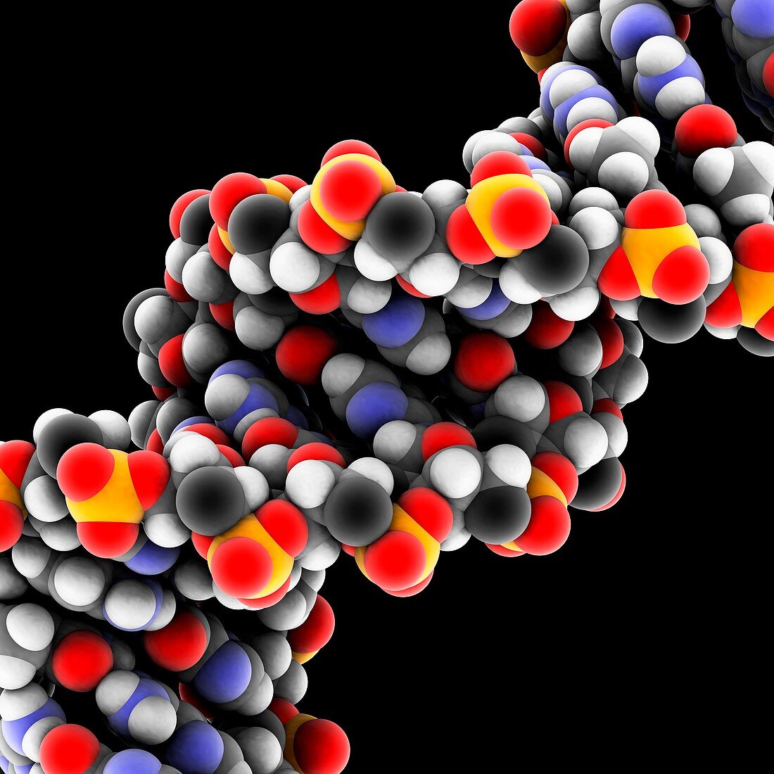 DNA molecule,artwork