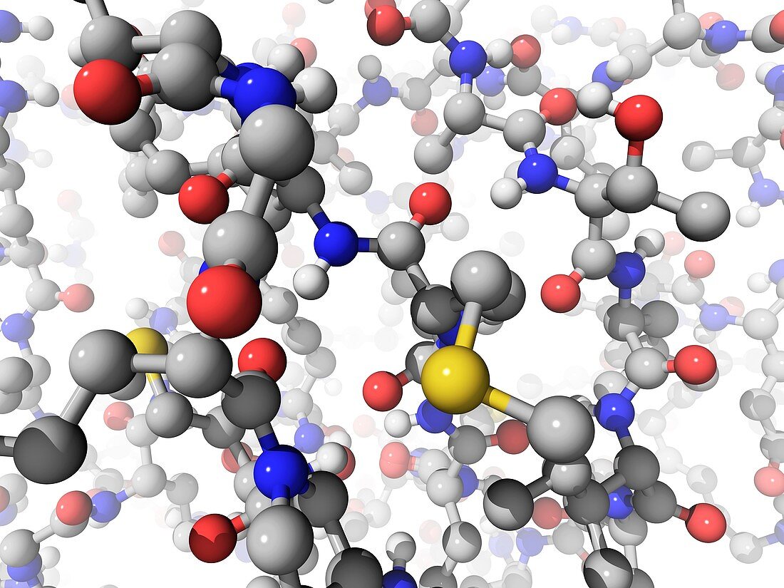 Molecular model,artwork