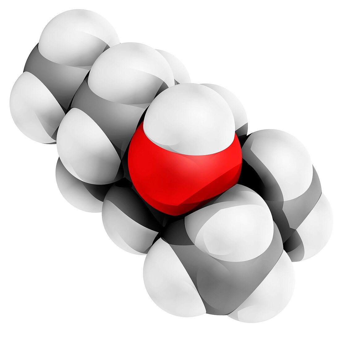 Menthol molecule