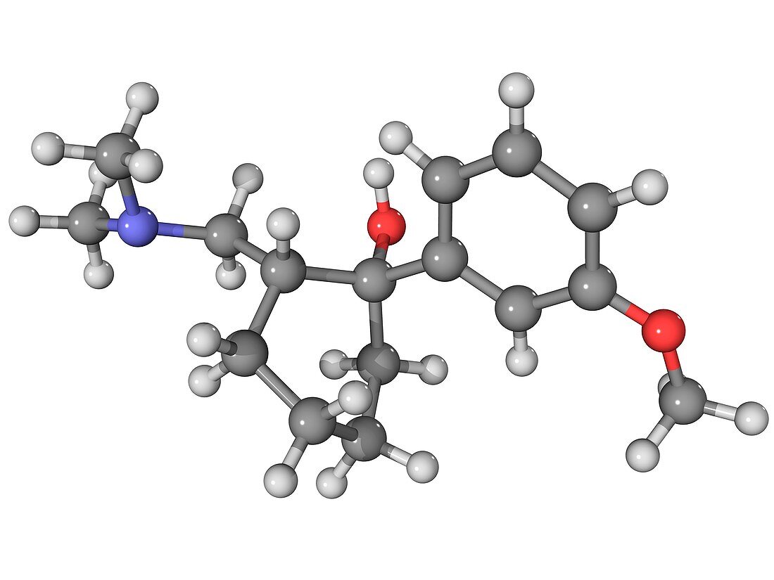 Tramadol analgesic molecule