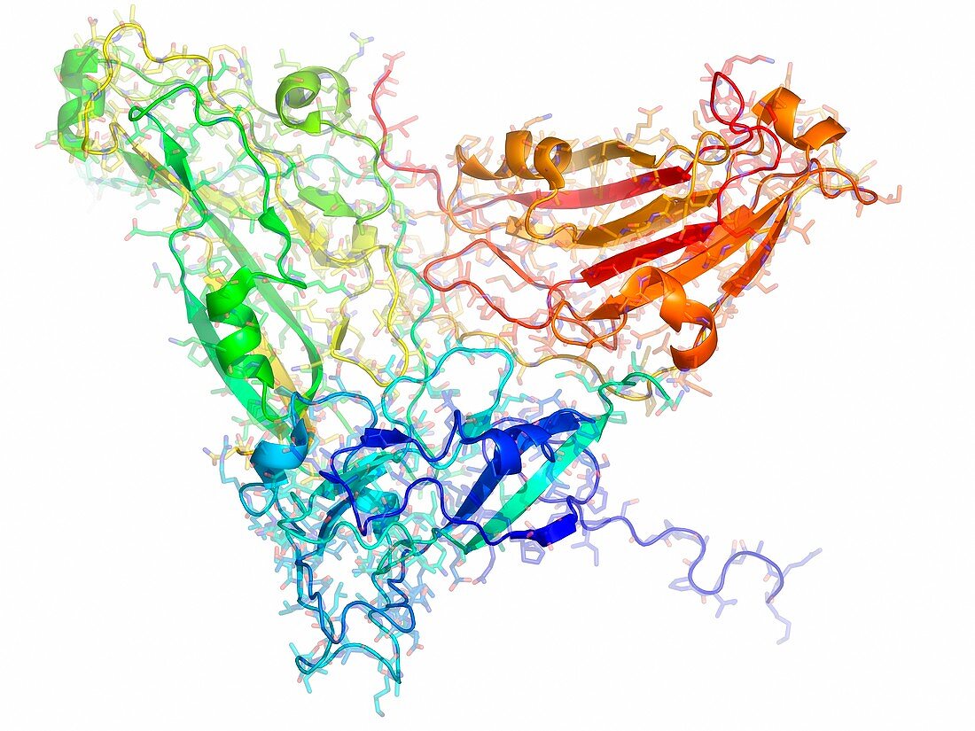 Physalis mottle virus capsid protein