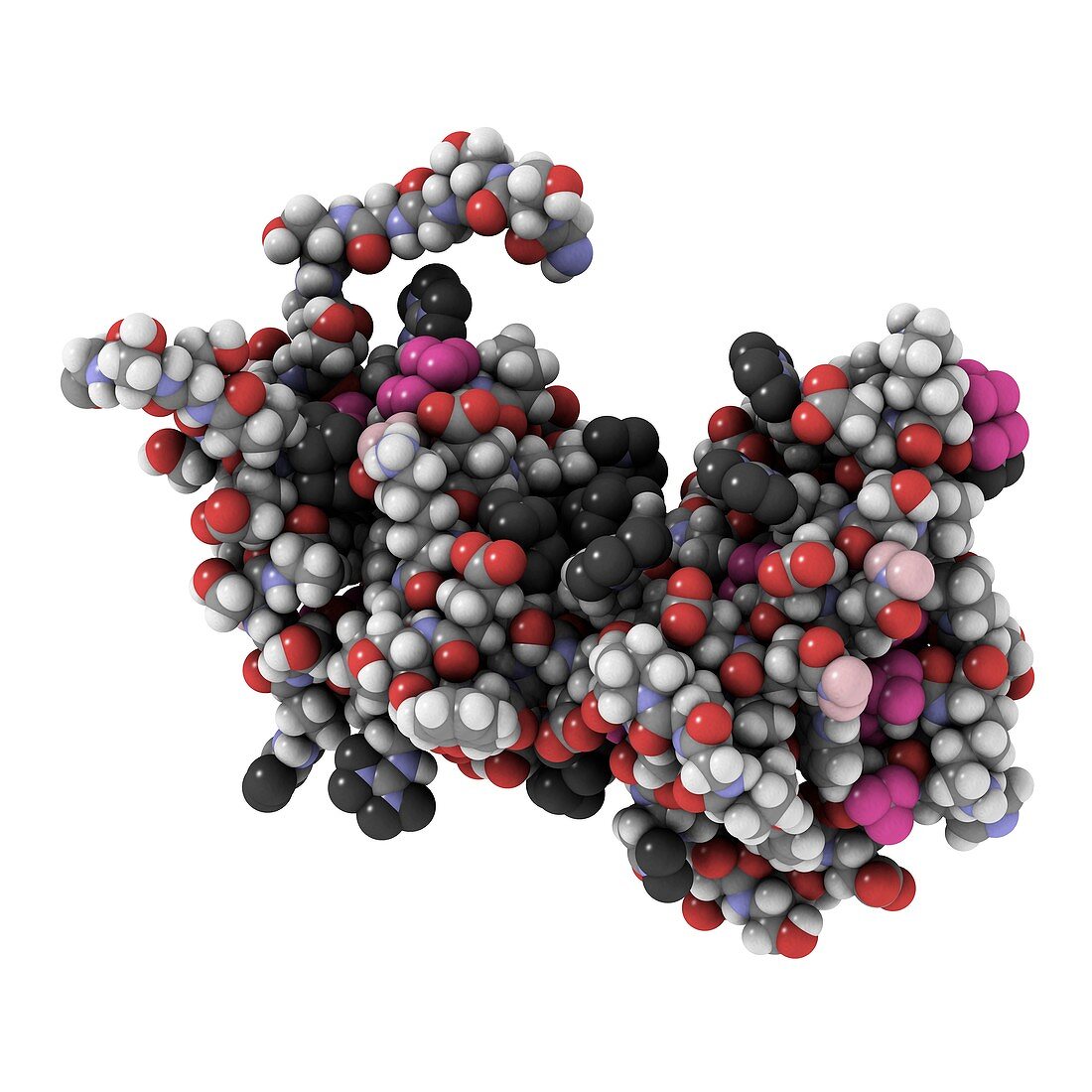 RGS domain molecule