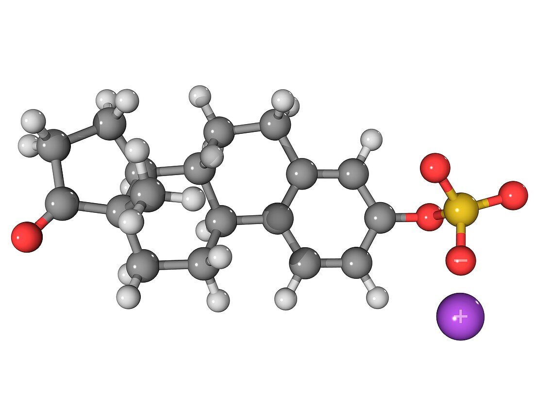 Premarin HRT drug molecule