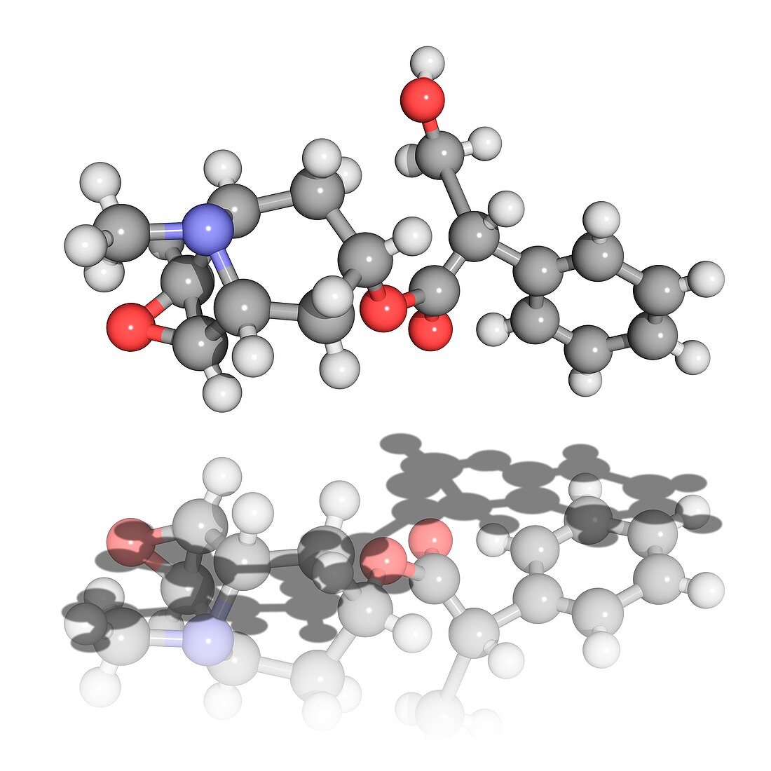Scopolamine toxin molecule