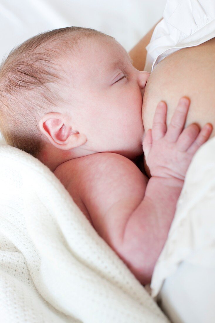 Newborn baby breastfeeding