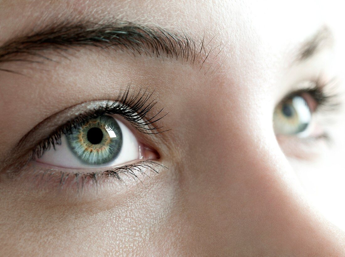 Woman's eyes