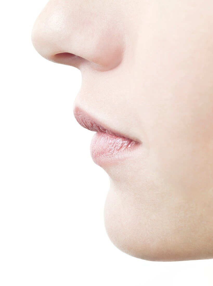 Woman's nose and mouth