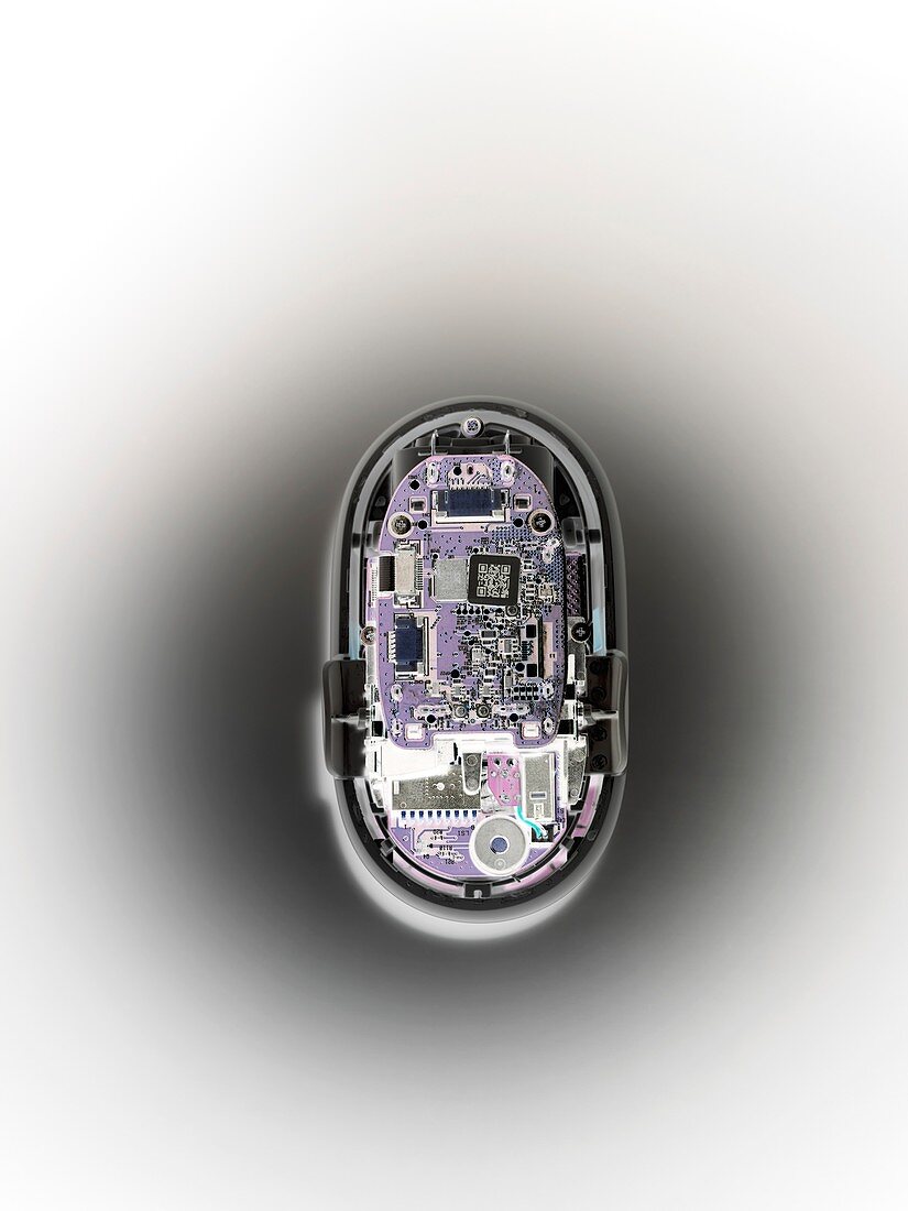Computer mouse interior