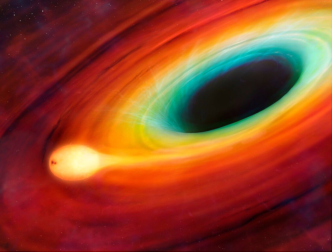 Star distorted by supermassive black hole