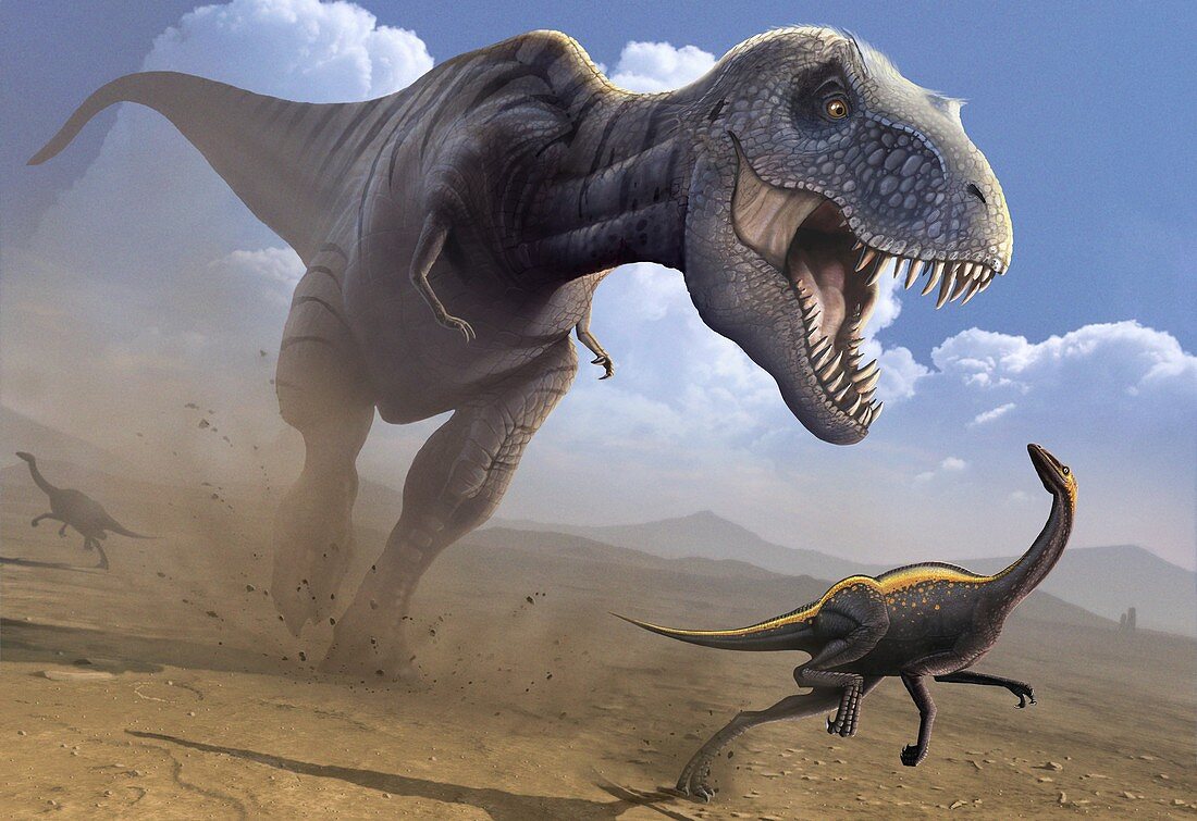 Artwork of a Tyrannosaurus rex hunting