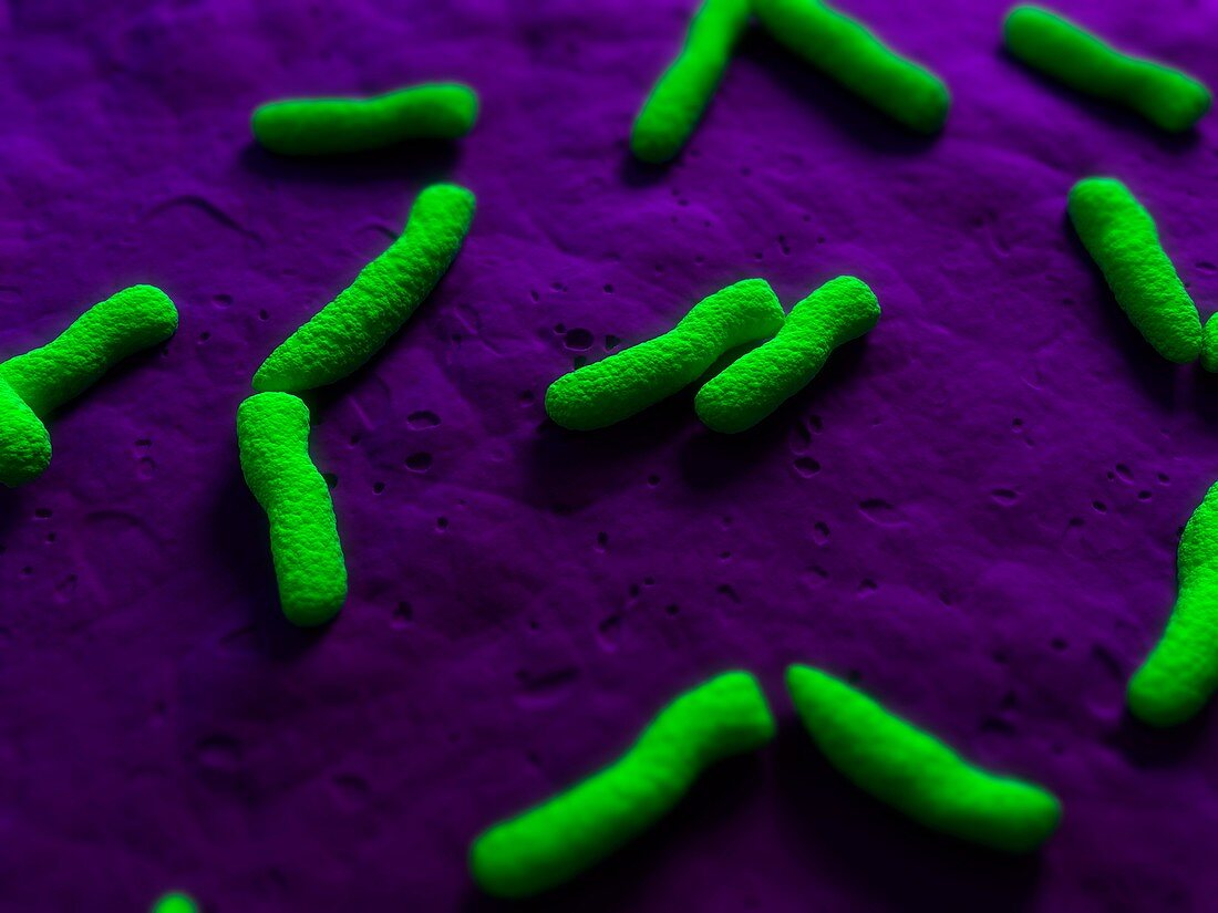 Bacteria,conceptual artwork