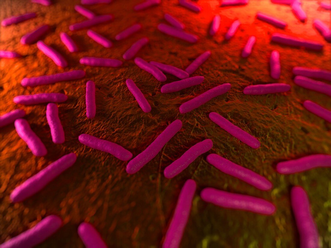 Bacteria,conceptual artwork