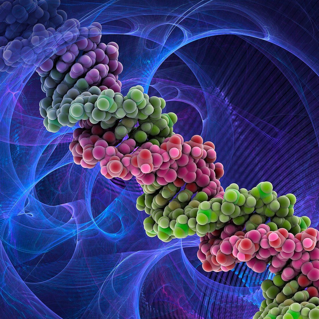 DNA molecule,artwork