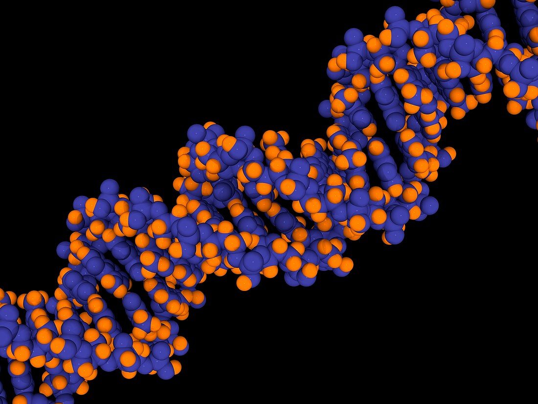 DNA molecule,artwork