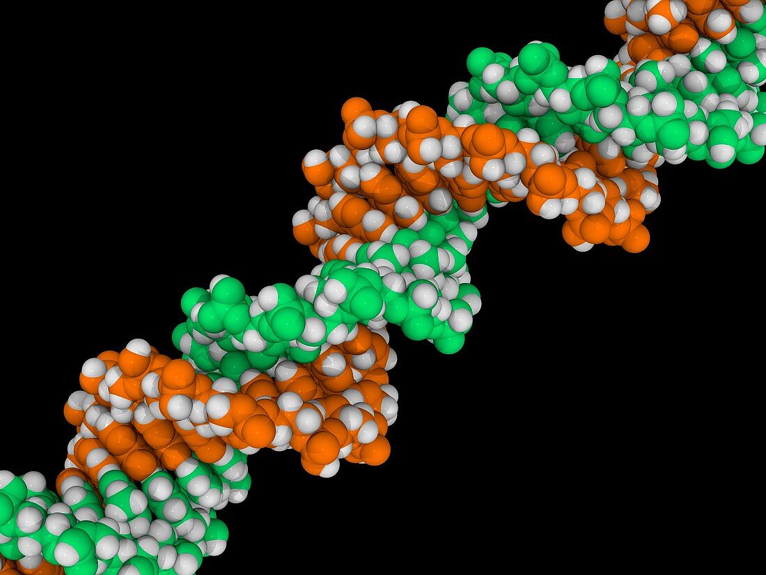 DNA molecule,artwork